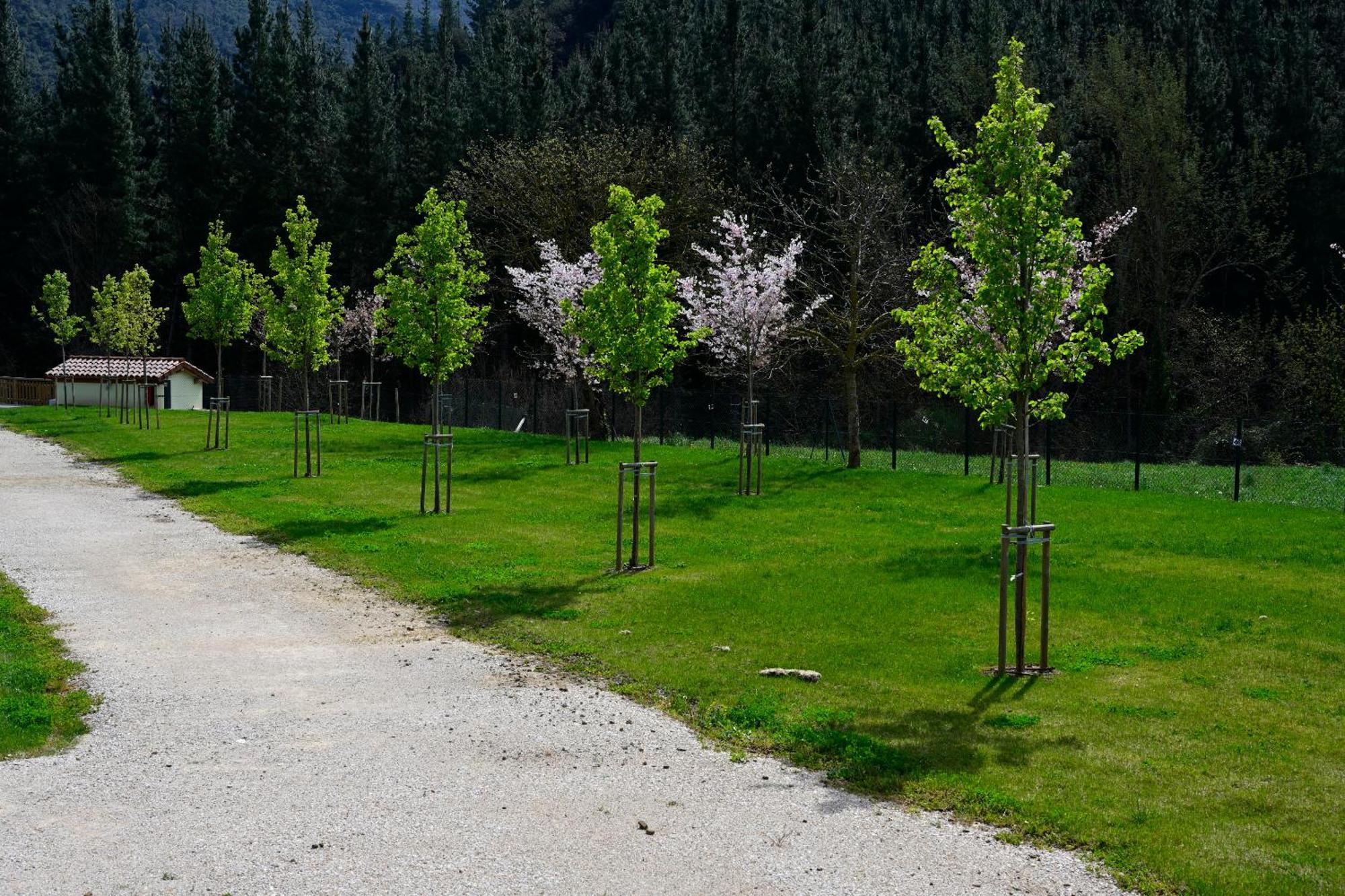 Camping Liebana Cabezón de Liébana Eksteriør billede